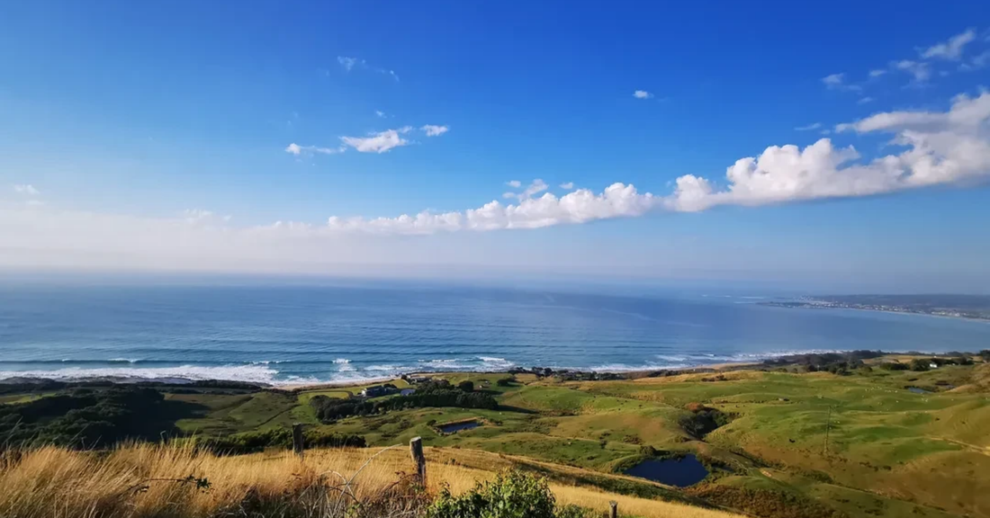Forrest + Apollo Bay Coastal Loop - The Ultimate Great Ocean Road MTB Adventure