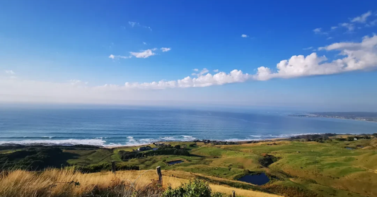 Forrest + Apollo Bay Coastal Loop - The Ultimate Great Ocean Road MTB Adventure