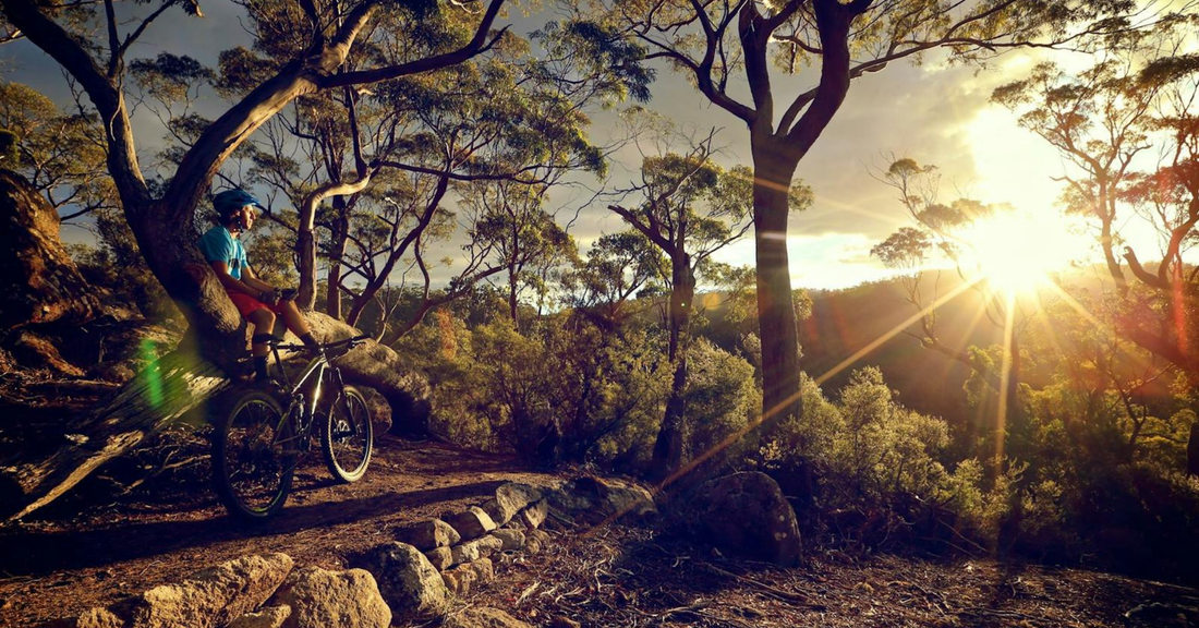 The Best MTB Trails in Tasmania: A Rider’s Guide